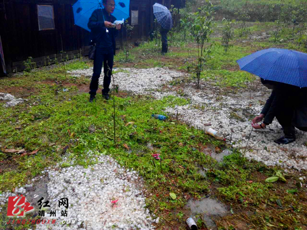 靖州3村庄突遭冰雹袭击 民宅屋顶被砸成“筛子”